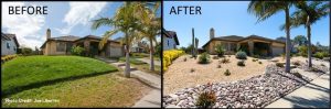 before and after images of turf replacement project on front yard