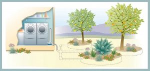 sketch of graywater system