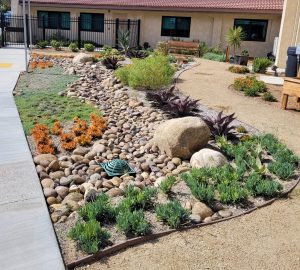 water-wise garden dry streambed