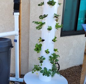 hydroponic system  garden tower