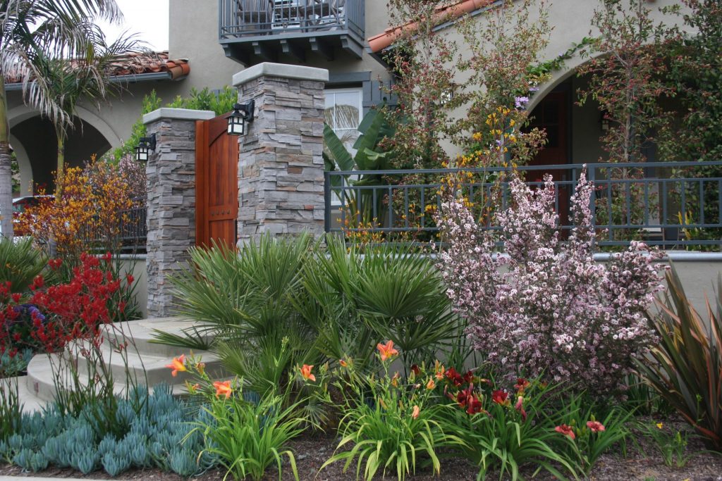 Mediterranean-style, water-smart yard