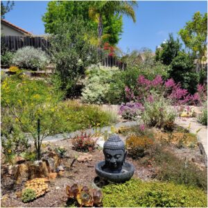 yard of 2026 water-smart landscape contest winner, uses succulents and drought-tolerant plants