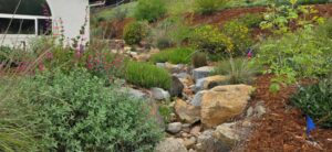 fire-wise landscape example
