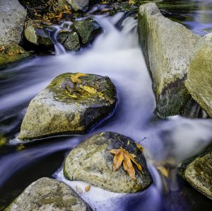 rocks in Escondido Creeks