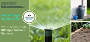 collage of images showing how to irrigate
