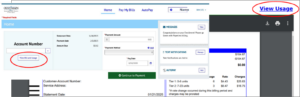 view usage buttons on customer portal