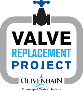 Valve Replacement icon