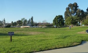 Greenbelt irrigated by recycled water