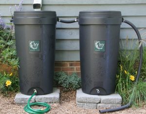 two rain barrels