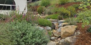 fire-wise landscaping