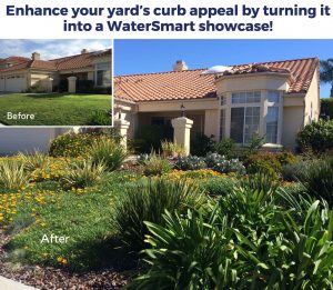 before and after water wise landscape yard