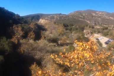 the Elfin Forest Recreational Reserve as viewed from the Way Up Trail