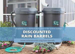 rain barrel sale