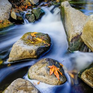 stream with rocks
