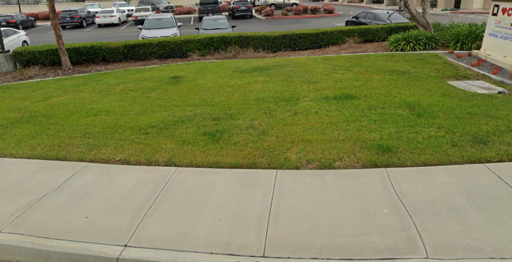 non functional turf strip mall