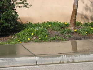 Image of sidewalk irrigation runoff