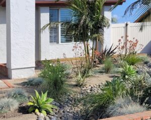 rock riverbed in a front yard